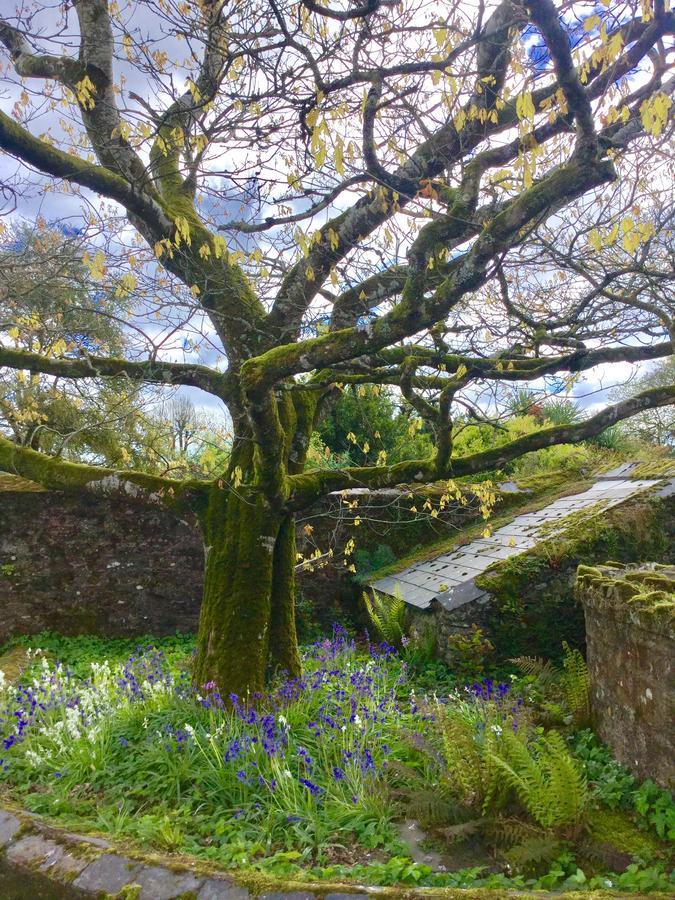 Willowhill House Minane Bridge Exteriér fotografie